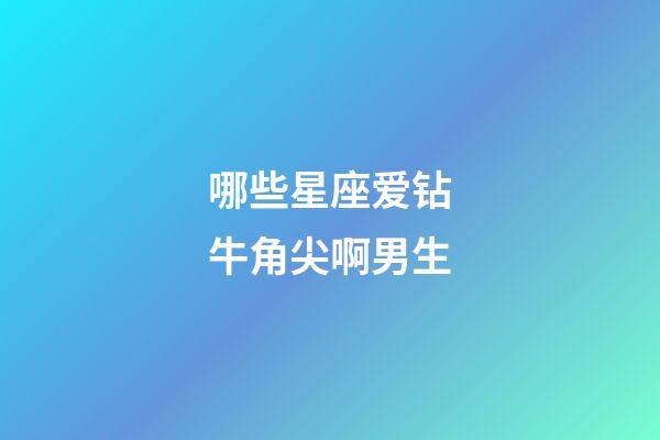 哪些星座爱钻牛角尖啊男生-第1张-星座运势-玄机派