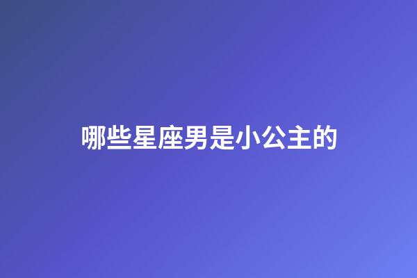 哪些星座男是小公主的-第1张-星座运势-玄机派