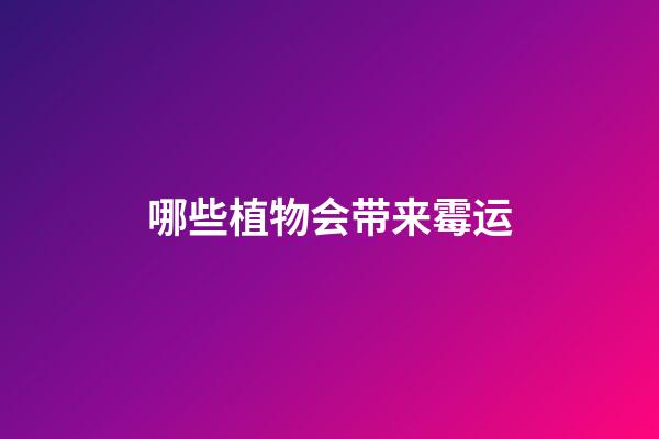 哪些植物会带来霉运