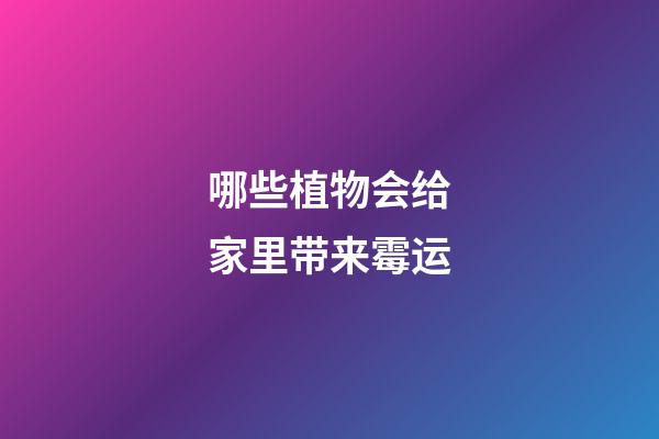 哪些植物会给家里带来霉运