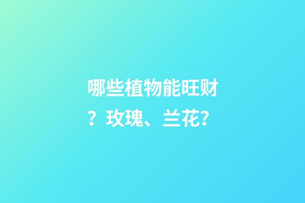 哪些植物能旺财？玫瑰、兰花？