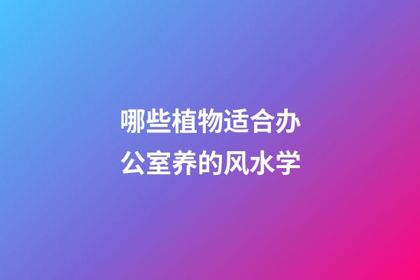 哪些植物适合办公室养的风水学