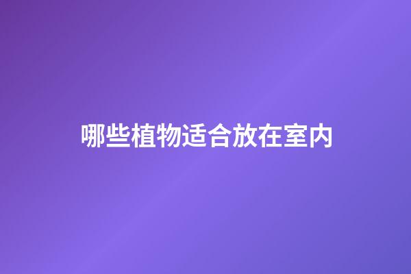 哪些植物适合放在室内