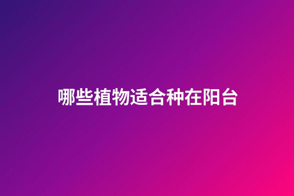 哪些植物适合种在阳台