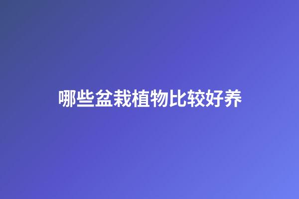 哪些盆栽植物比较好养