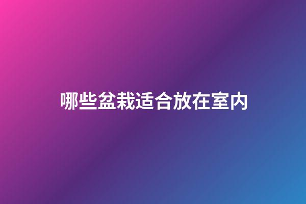 哪些盆栽适合放在室内