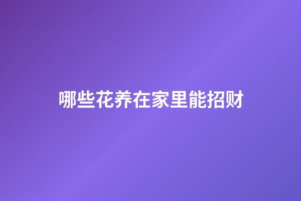 哪些花养在家里能招财