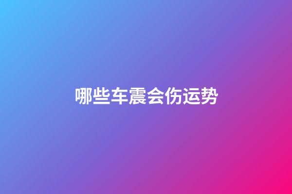 哪些车震会伤运势?