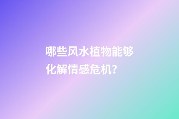 哪些风水植物能够化解情感危机？