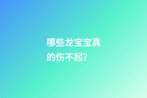 哪些龙宝宝真的伤不起？
