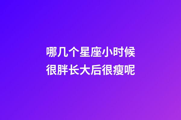 哪几个星座小时候很胖长大后很瘦呢-第1张-星座运势-玄机派