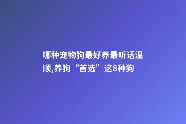 哪种宠物狗最好养最听话温顺,养狗“首选”这8种狗-第1张-观点-玄机派