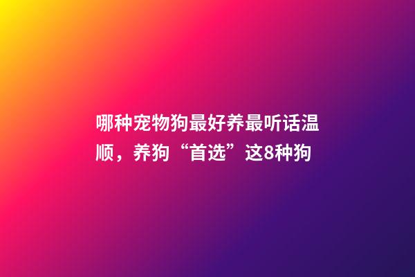 哪种宠物狗最好养最听话温顺，养狗“首选”这8种狗-第1张-观点-玄机派