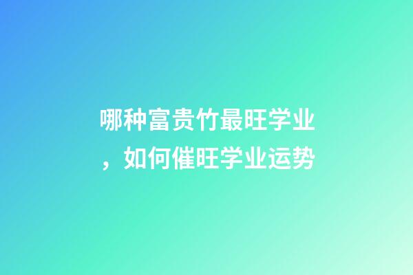 哪种富贵竹最旺学业，如何催旺学业运势