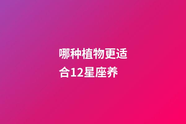 哪种植物更适合12星座养-第1张-星座运势-玄机派
