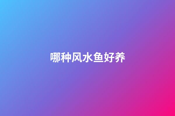 哪种风水鱼好养