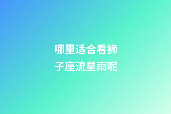 哪里适合看狮子座流星雨呢-第1张-星座运势-玄机派