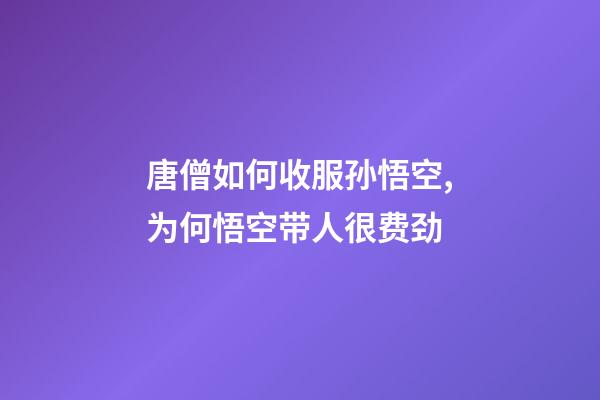 唐僧如何收服孙悟空,为何悟空带人很费劲-第1张-观点-玄机派
