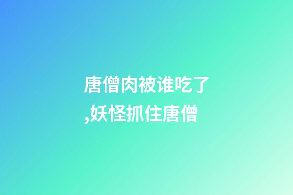 唐僧肉被谁吃了,妖怪抓住唐僧-第1张-观点-玄机派