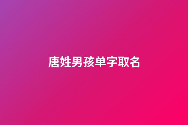 唐姓男孩单字取名(唐姓男孩单字取名)-第1张-男孩起名-玄机派