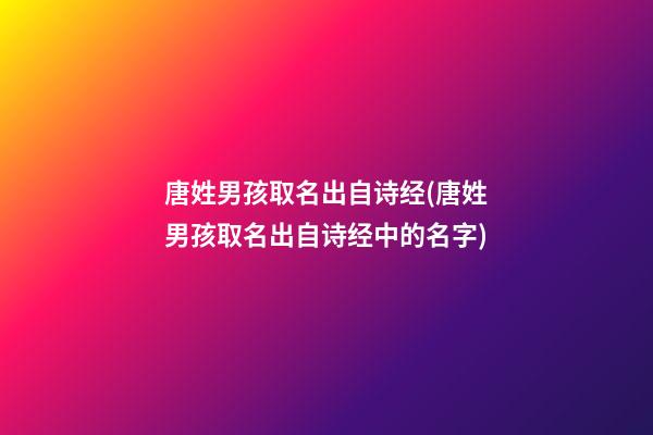 唐姓男孩取名出自诗经(唐姓男孩取名出自诗经中的名字)