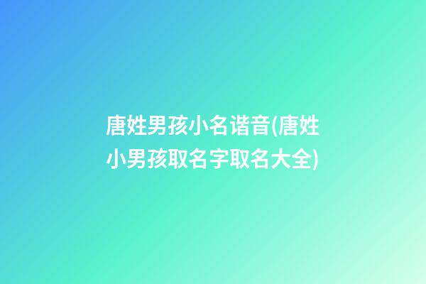 唐姓男孩小名谐音(唐姓小男孩取名字取名大全)