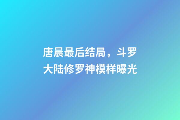 唐晨最后结局，斗罗大陆修罗神模样曝光-第1张-观点-玄机派