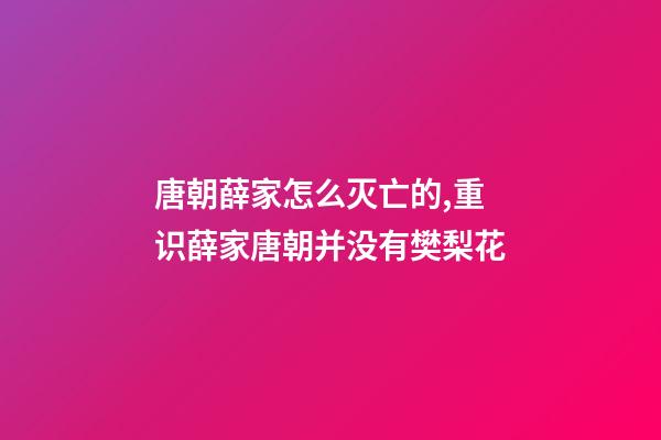 唐朝薛家怎么灭亡的,重识薛家(三六)唐朝并没有樊梨花-第1张-观点-玄机派