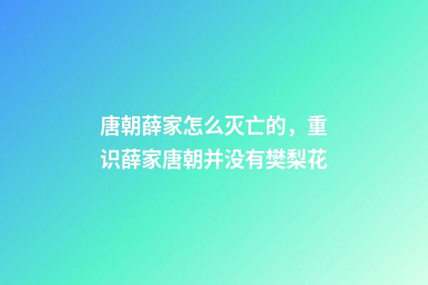 唐朝薛家怎么灭亡的，重识薛家(三六)唐朝并没有樊梨花