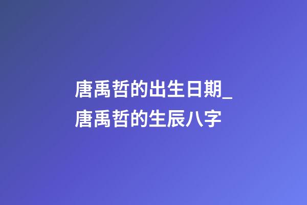 唐禹哲的出生日期_唐禹哲的生辰八字
