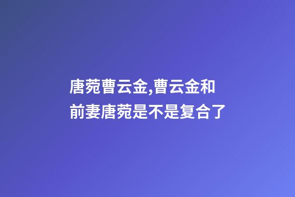唐菀曹云金,曹云金和前妻唐菀是不是复合了-第1张-观点-玄机派