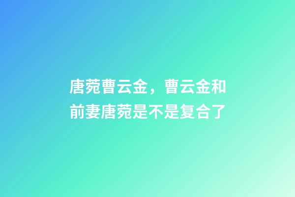 唐菀曹云金，曹云金和前妻唐菀是不是复合了-第1张-观点-玄机派