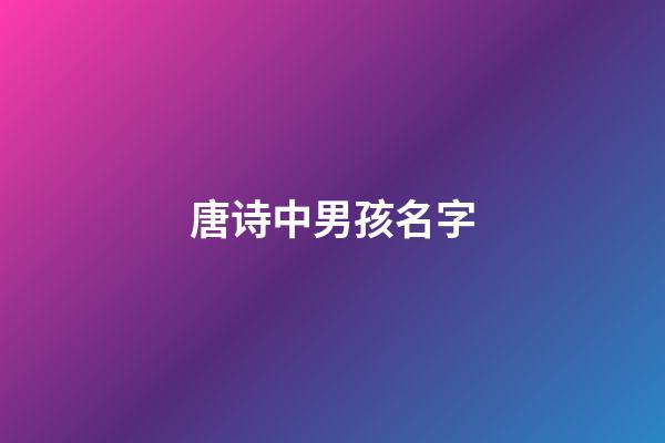 唐诗中男孩名字(唐诗里适合男孩的名字)-第1张-男孩起名-玄机派