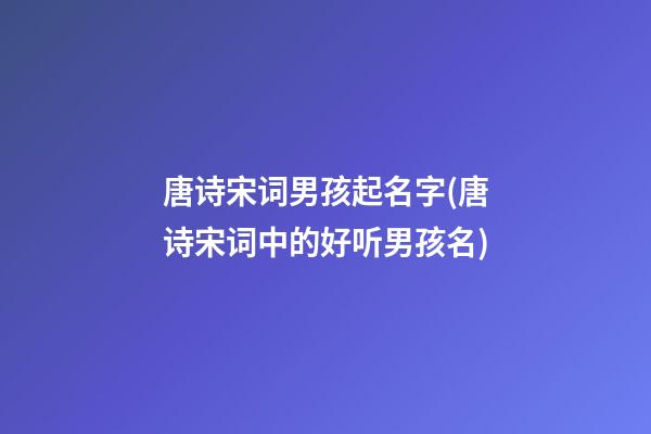 唐诗宋词男孩起名字(唐诗宋词中的好听男孩名)