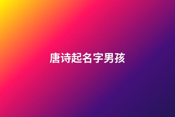 唐诗起名字男孩(唐诗起名字男孩名字大全)-第1张-男孩起名-玄机派