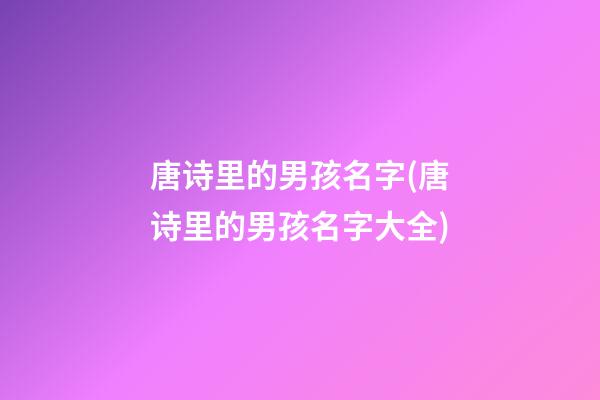 唐诗里的男孩名字(唐诗里的男孩名字大全)