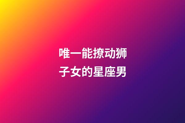 唯一能撩动狮子女的星座男-第1张-星座运势-玄机派