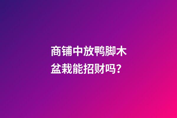 商铺中放鸭脚木盆栽能招财吗？