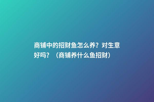 商铺中的招财鱼怎么养？对生意好吗？（商铺养什么鱼招财）