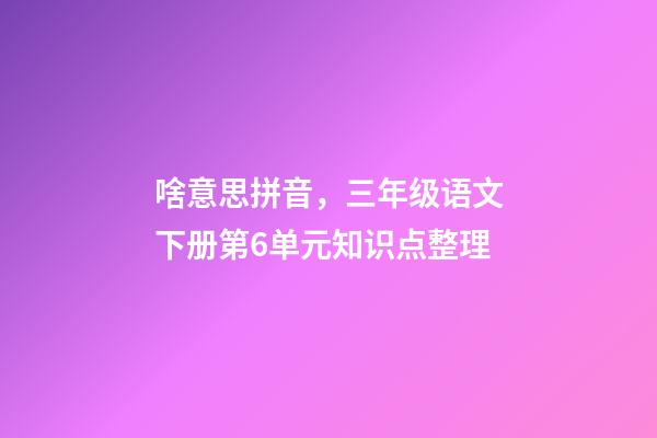 啥意思拼音，三年级语文下册第6单元知识点整理-第1张-观点-玄机派