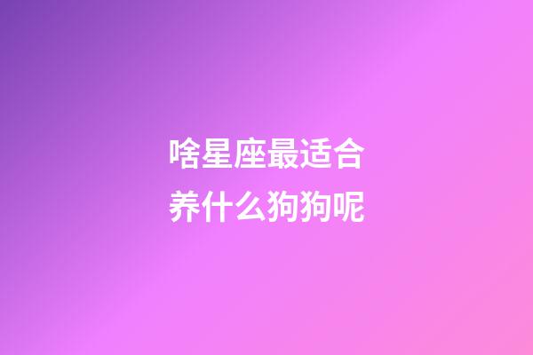 啥星座最适合养什么狗狗呢-第1张-星座运势-玄机派