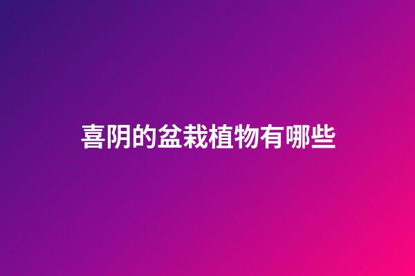 喜阴的盆栽植物有哪些