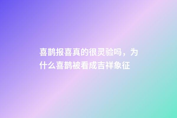 喜鹊报喜真的很灵验吗，为什么喜鹊被看成吉祥象征-第1张-观点-玄机派