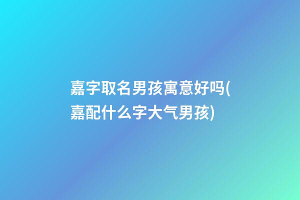 嘉字取名男孩寓意好吗(嘉配什么字大气男孩)
