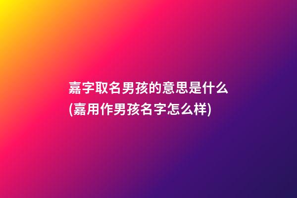 嘉字取名男孩的意思是什么(嘉用作男孩名字怎么样)