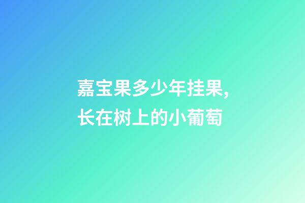 嘉宝果多少年挂果,长在树上的小葡萄-第1张-观点-玄机派