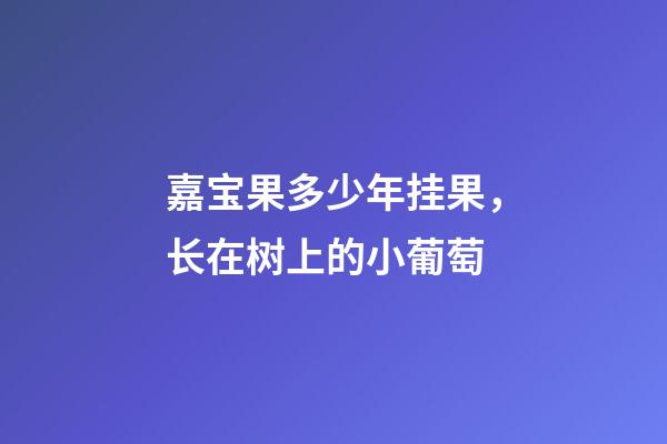 嘉宝果多少年挂果，长在树上的小葡萄-第1张-观点-玄机派