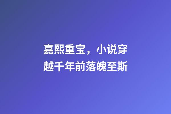 嘉熙重宝，小说穿越千年前落魄至斯-第1张-观点-玄机派