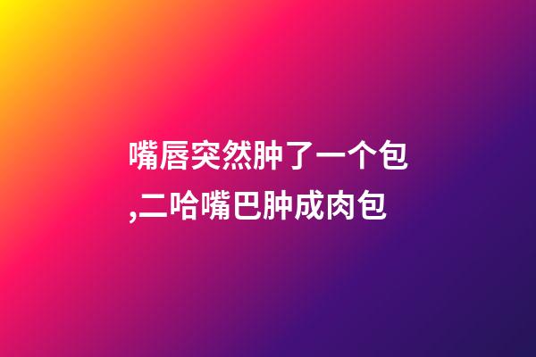 嘴唇突然肿了一个包,二哈嘴巴肿成肉包-第1张-观点-玄机派