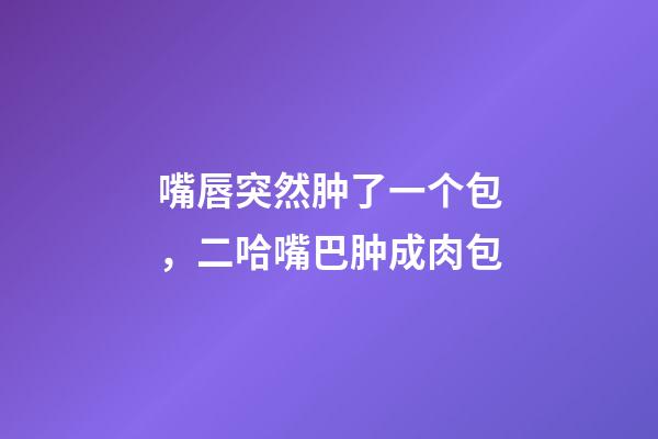 嘴唇突然肿了一个包，二哈嘴巴肿成肉包-第1张-观点-玄机派
